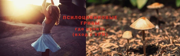 apvp Краснотурьинск