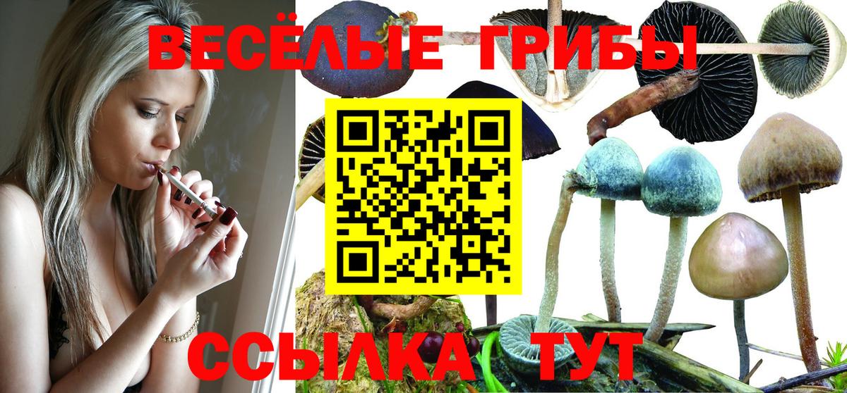 Псилоцибиновые грибы мухоморы Лесной