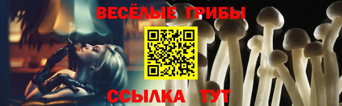 Галлюциногенные грибы Cubensis  Вход с VPN  Лесной 