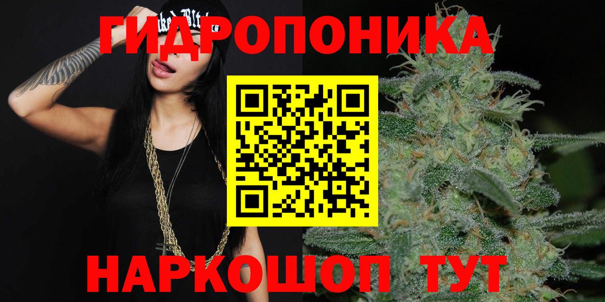 Бошки Шишки планчик  Шишки марихуана THC 21%  Вход с VPN  Лесной  Марихуана Ganja  Каннабис SATIVA & INDICA 